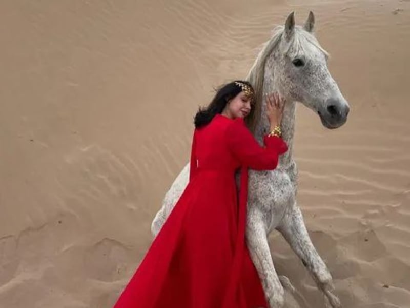 Beginner's Guide to Beach Horse Riding in Essaouira