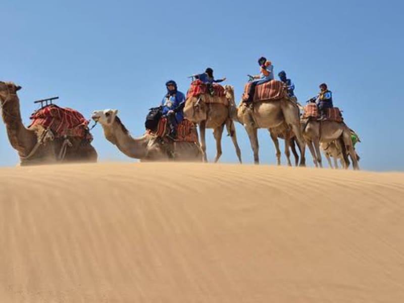 Camel caravan crossing the dunes with guides in blue robes