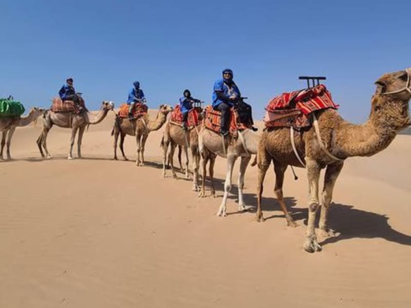 Camel caravan on the dunes, riders led on foot by a guide