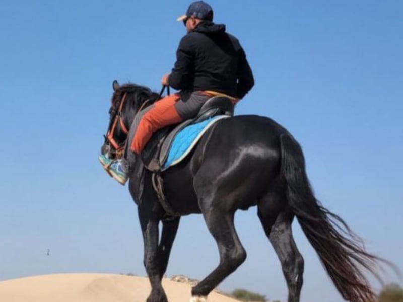 The History of Horses in Moroccan Culture: Barbs, Cavalry and Tbourida
