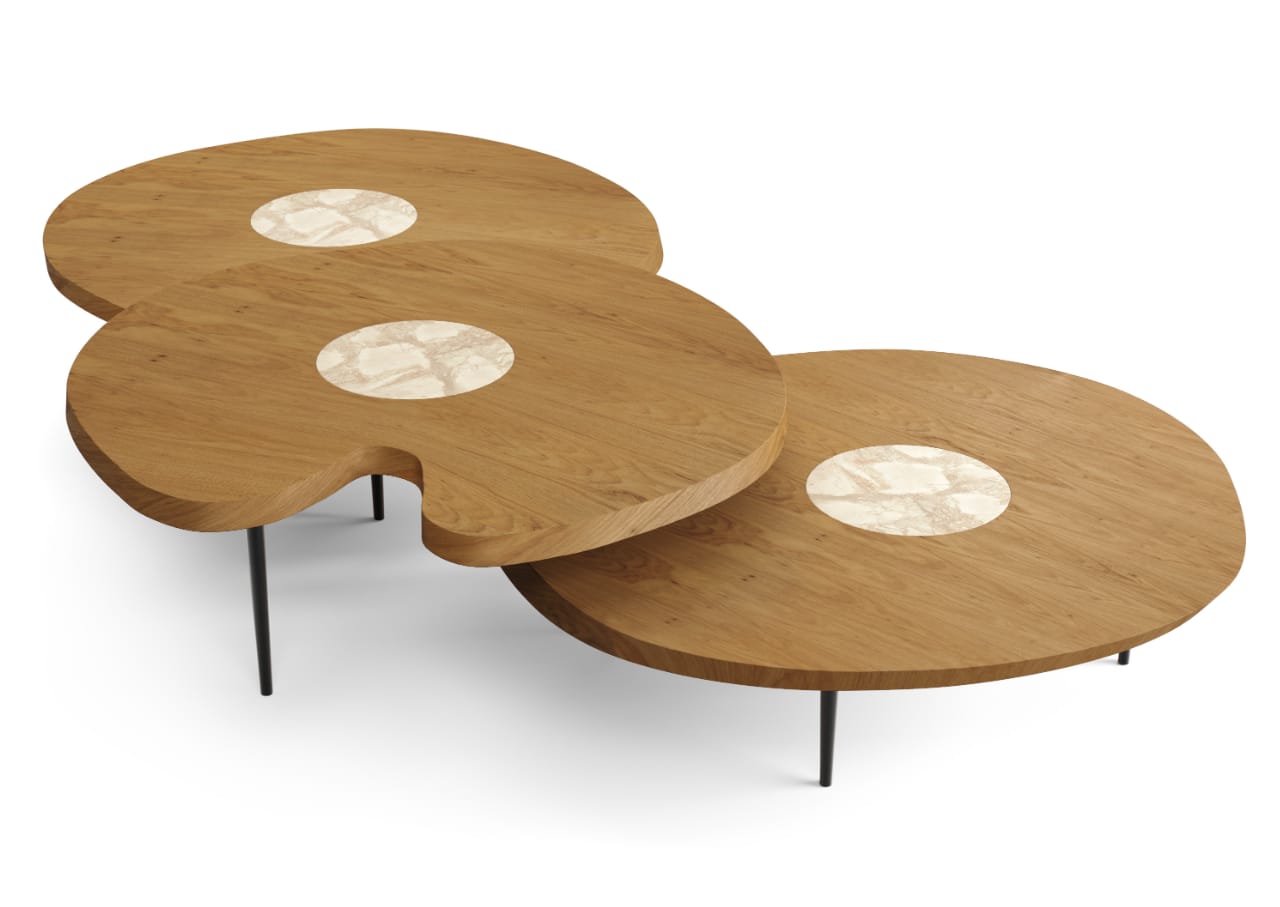 Imagen de MESA DE CENTRO NINFEIA