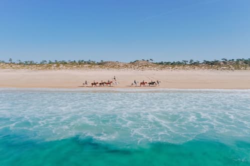 Cavalos na Areia — fotografia 1
