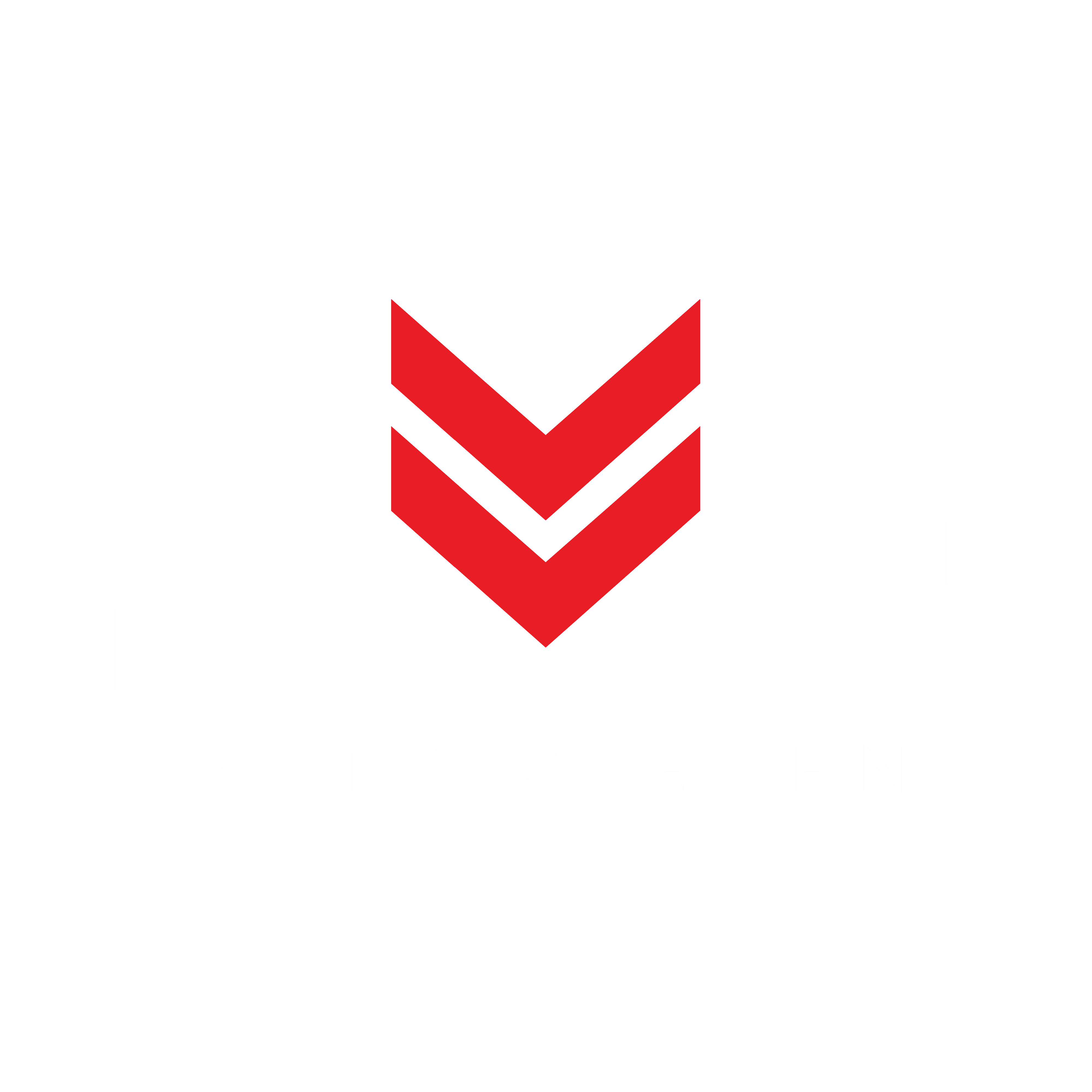MVP COMMUNICATION TEAM