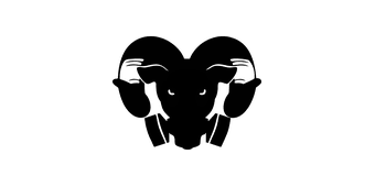 Partner 20 logo