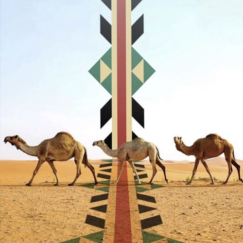 تعزيز الهوية البصرية