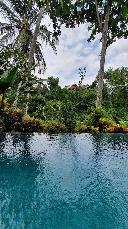 JUNGLE VIEW - foto properti sewa