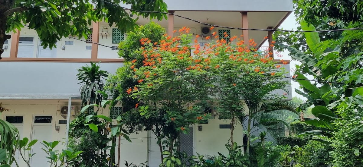 Kost Rita Jelupang - Sewa di Serpong
