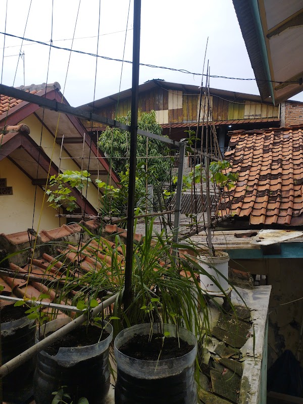 Kontrakan Tri Johar - foto properti sewa