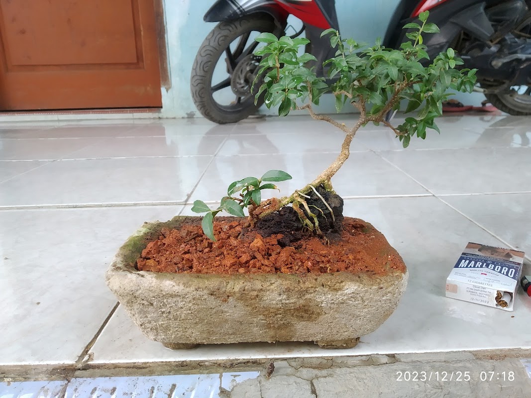 Kontrakan Ibu Katini - foto properti sewa