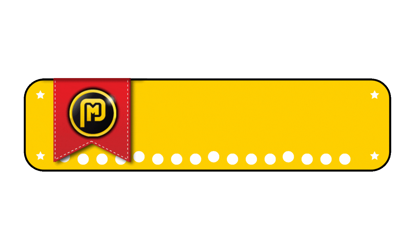 PMTOTO