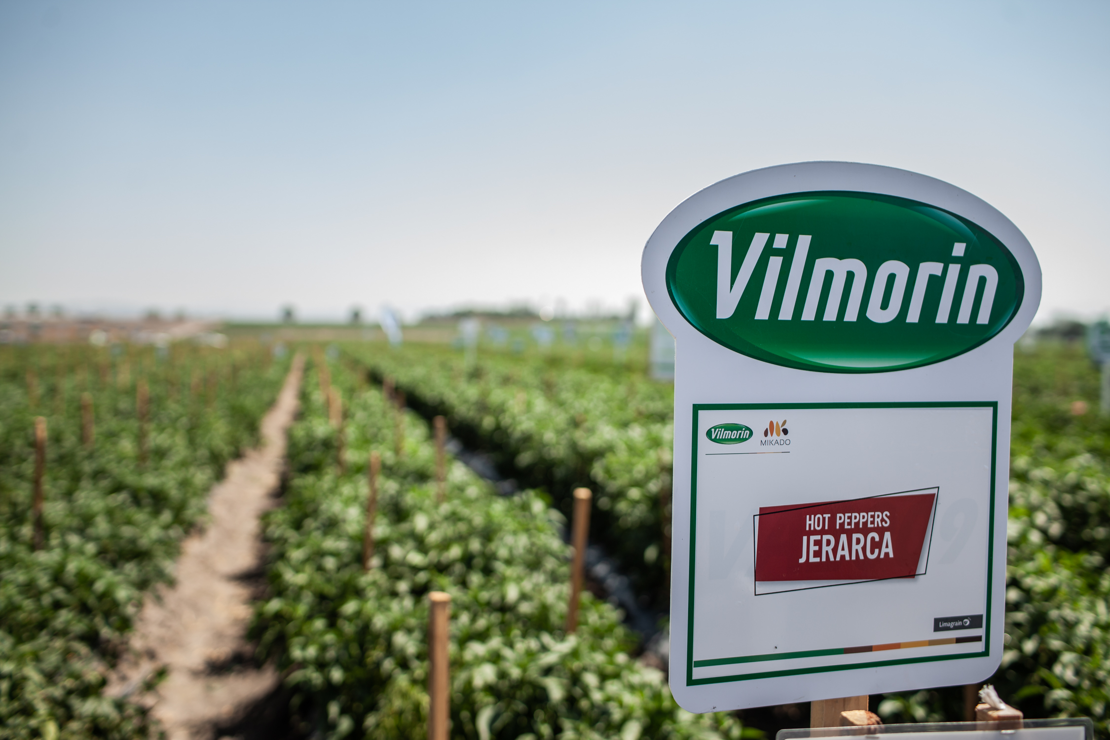 Agroindustrial