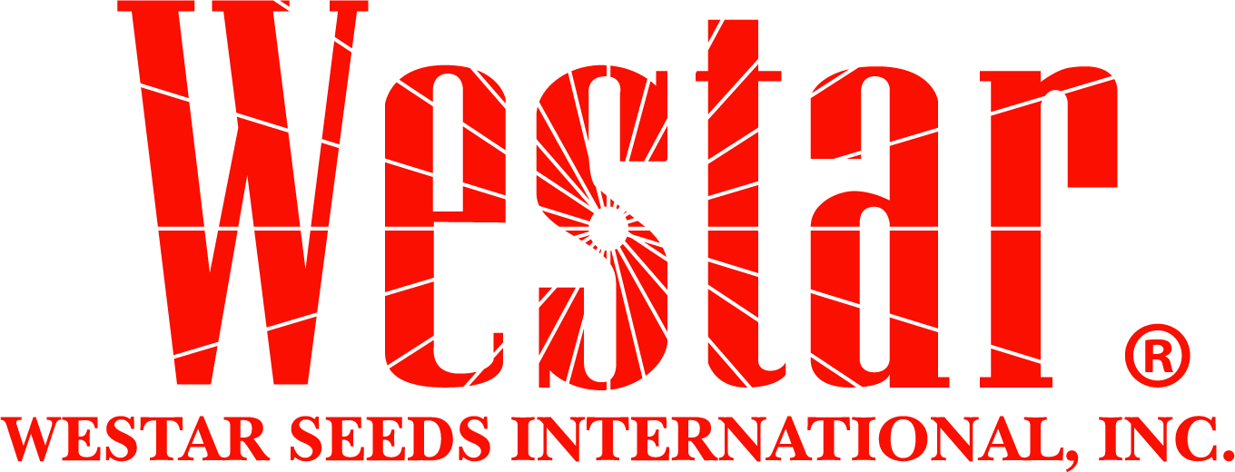 Logo de Empresa 2