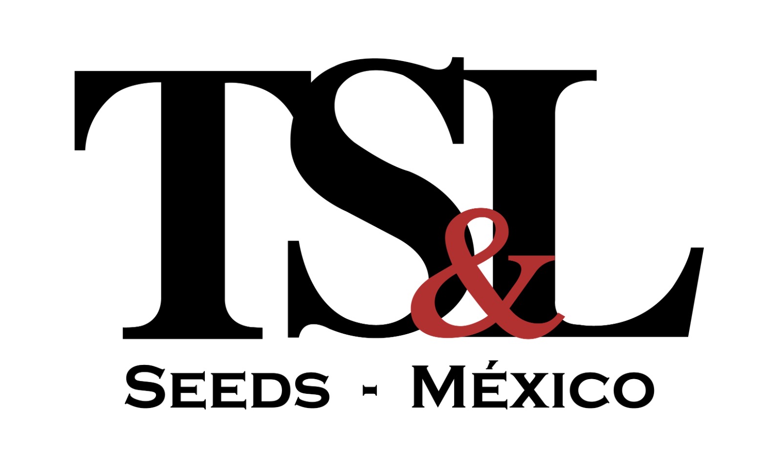 Logo de Empresa 4