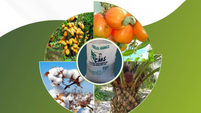 COURS D'AGRONOMIE : CONNAITRE ET COMPRENDRE L'AGRICULTURE EN 90 MINUTES