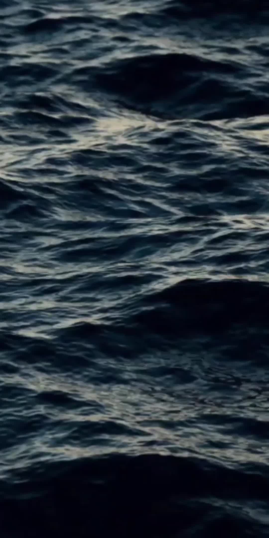 Noche