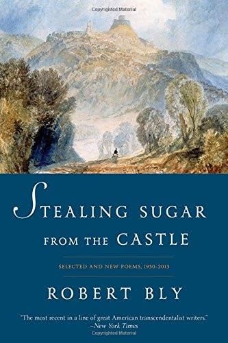 Cover of Stealing Sugar from the Castle