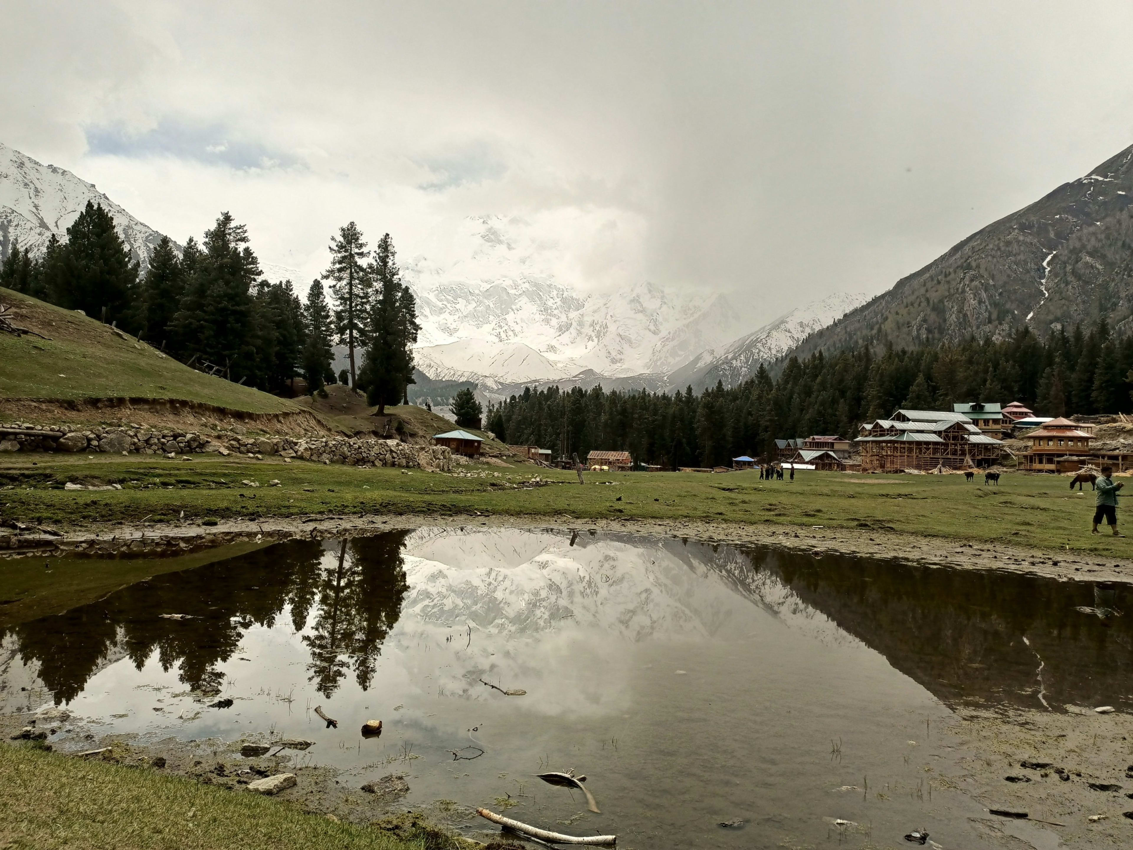 Fairy Meadows