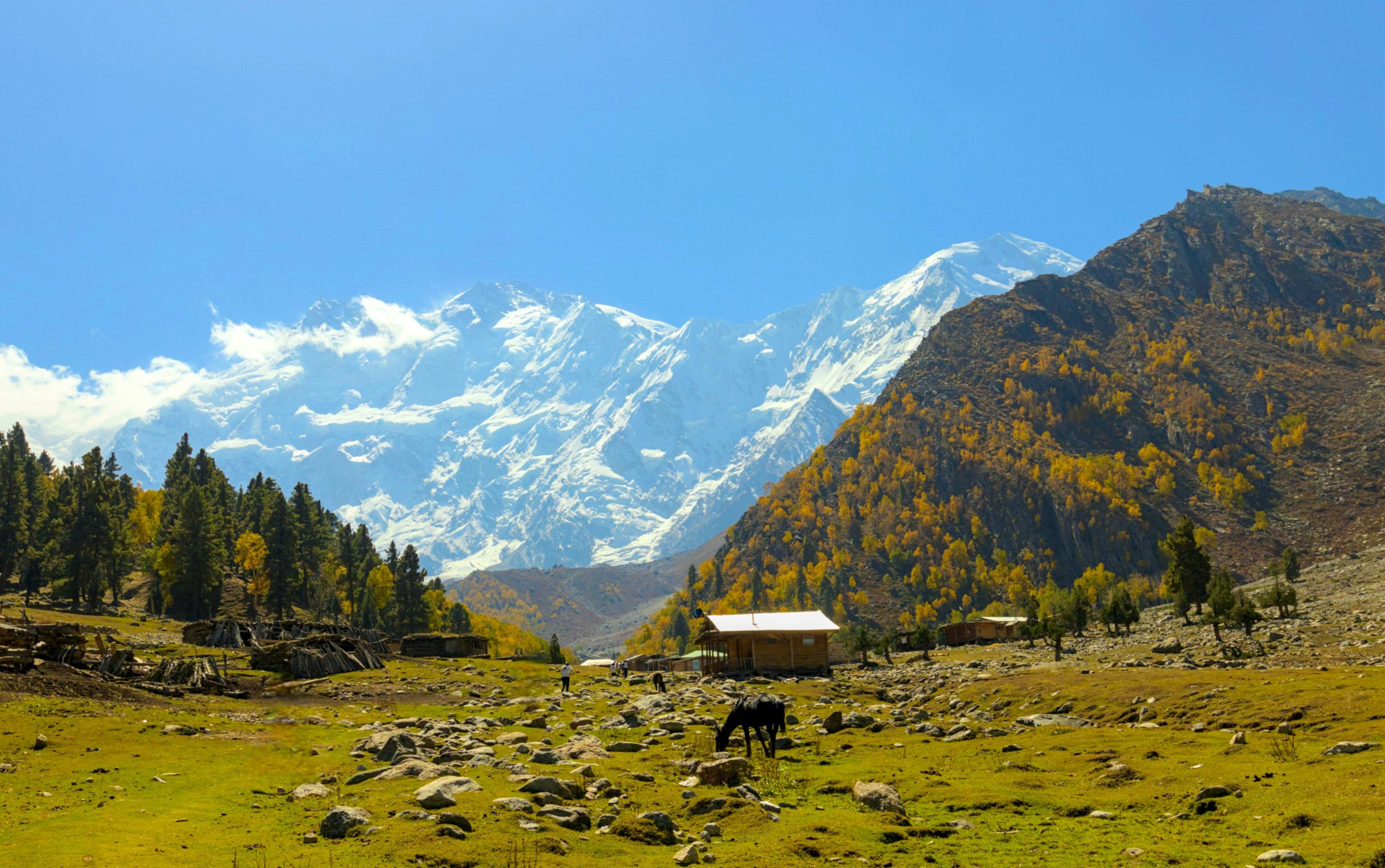 Nanga Parbat Fairy Meadows