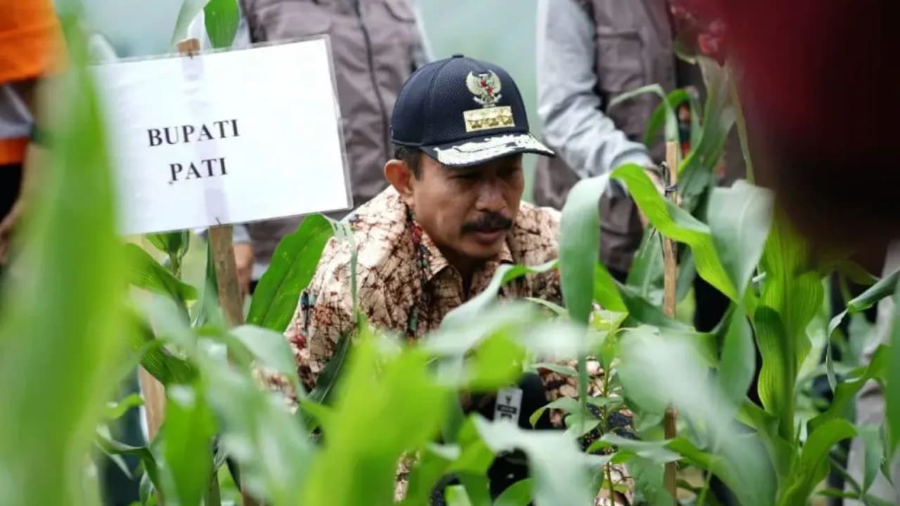 Ratusan Ribu Bibit Petai dan Jengkol Ditanam di Hutan Sosial Pati