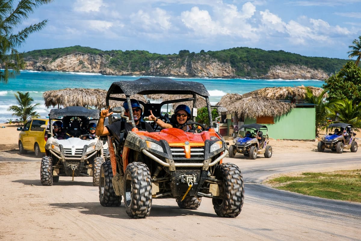 Buggies Adventure