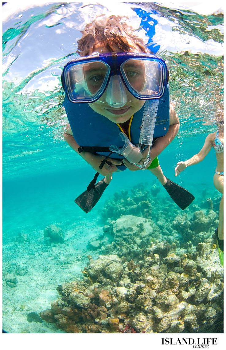 Tour Snorkel Isla Catalina