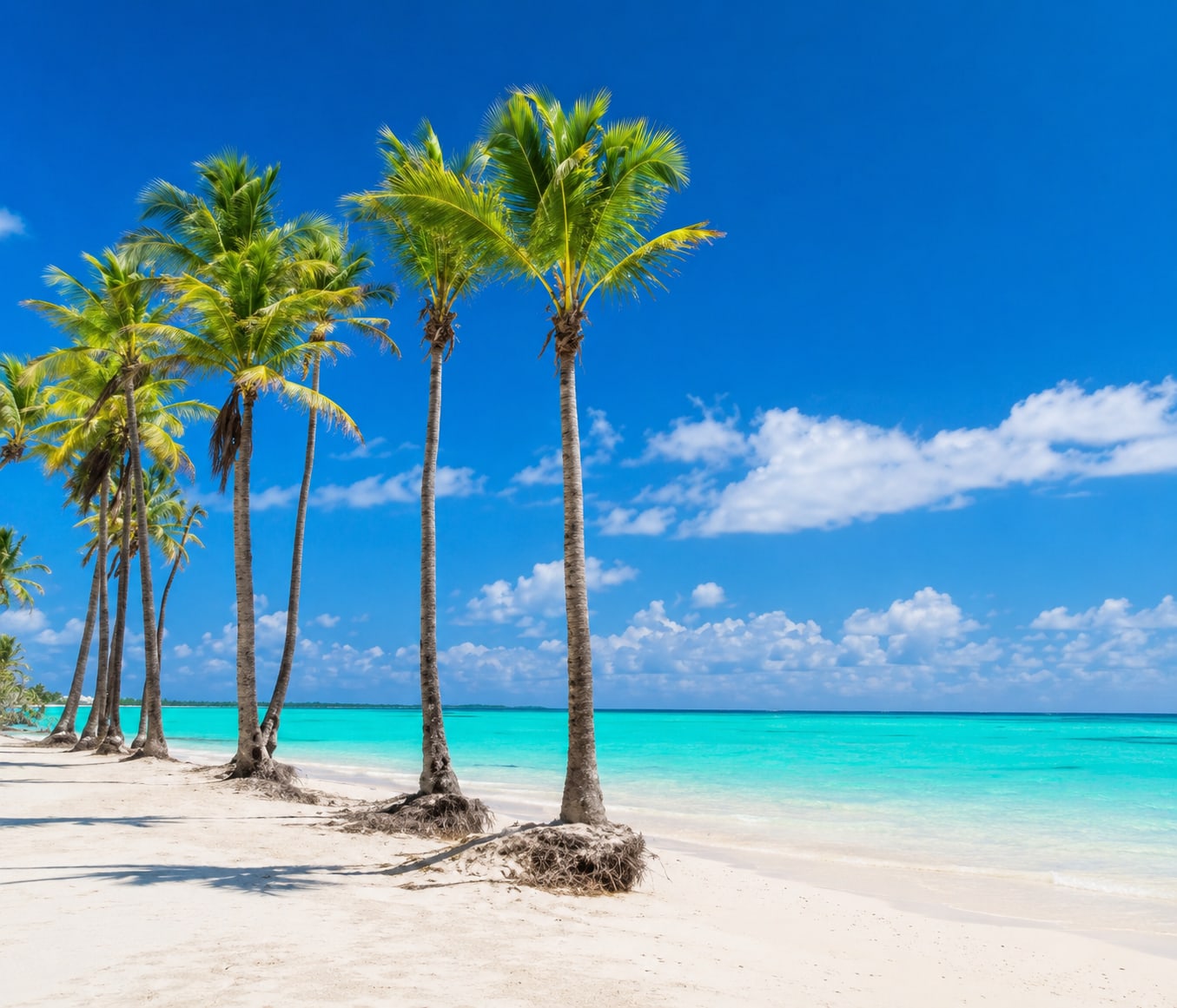Lujosa villa privada en cap cana, Punta Cana 6