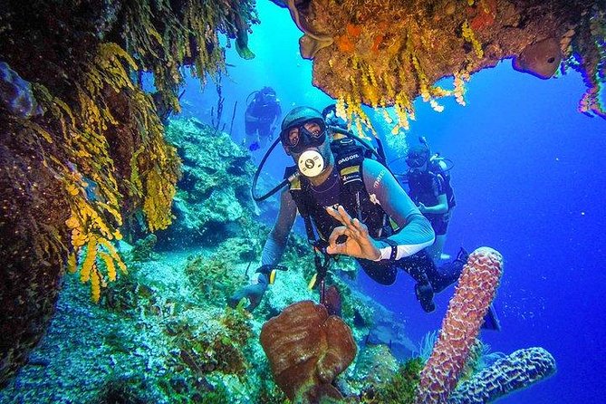 Buceo Isla Catalina