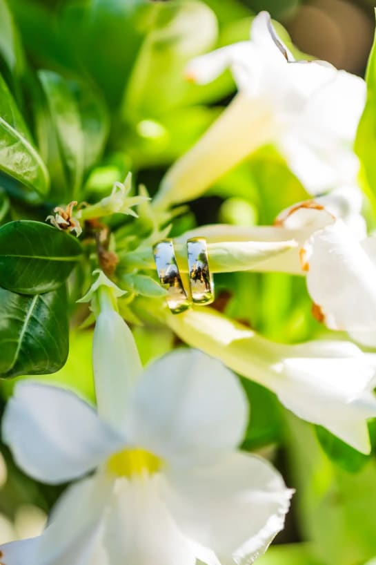 Imagen de boda galeria