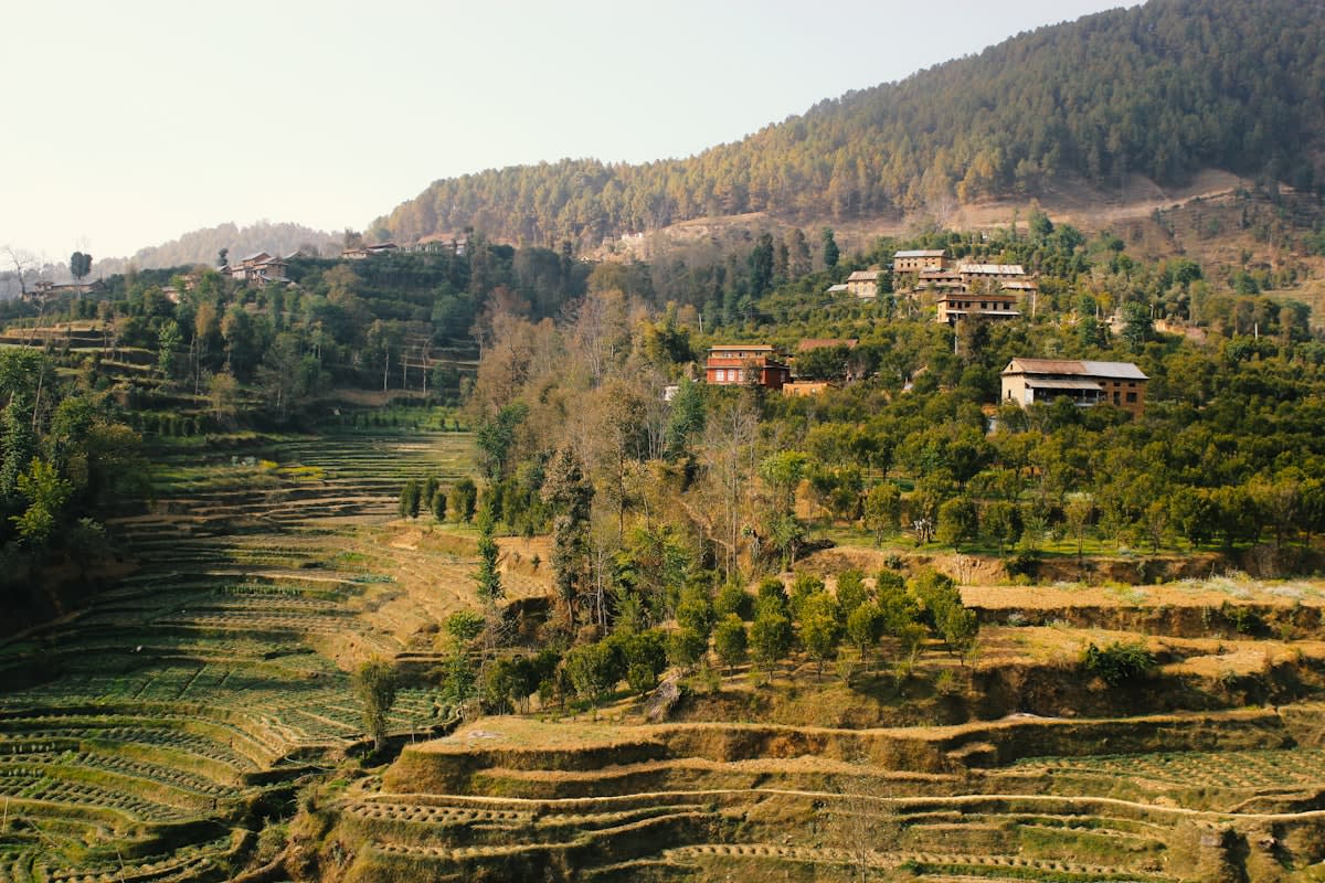 Modern sustainable dairy farm in Nepal