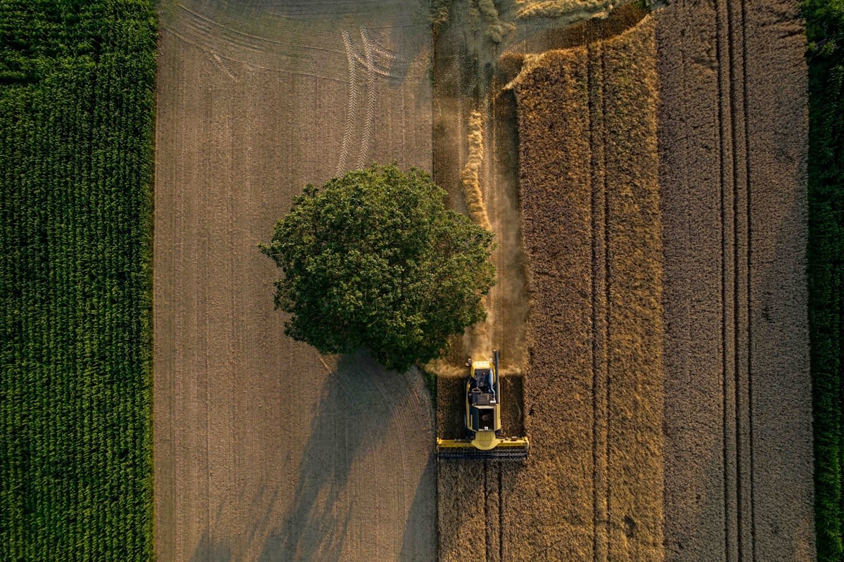 Precision agriculture drone mapping a field