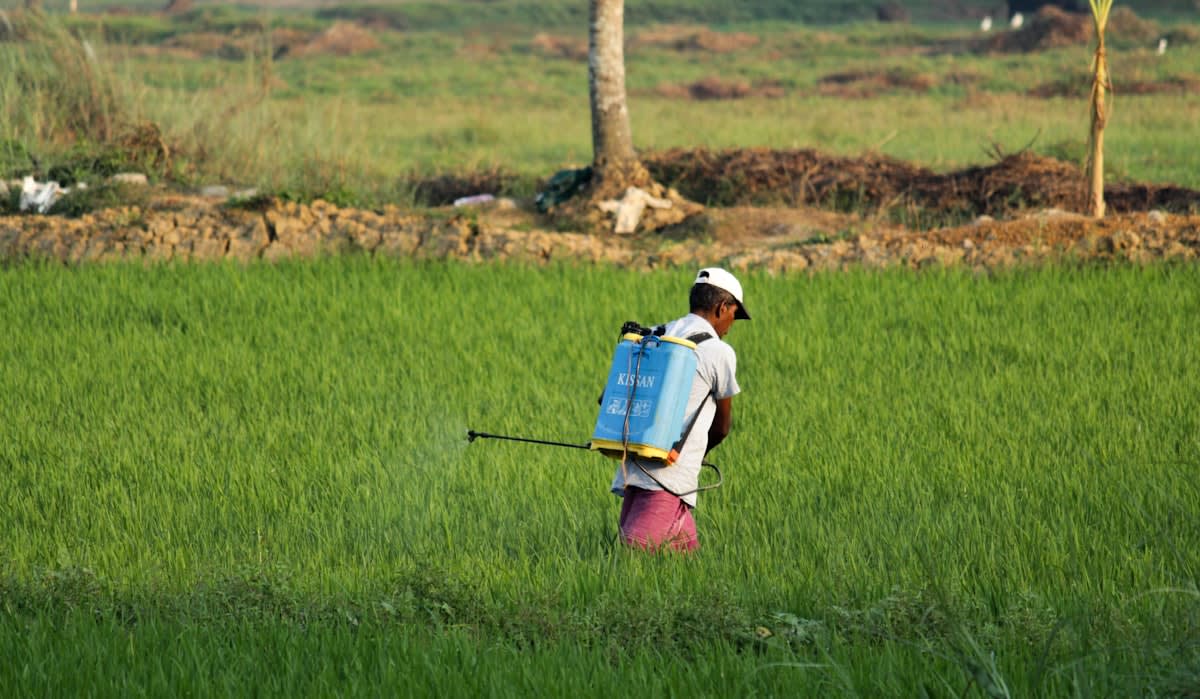 Agricultural field spraying pesticides
