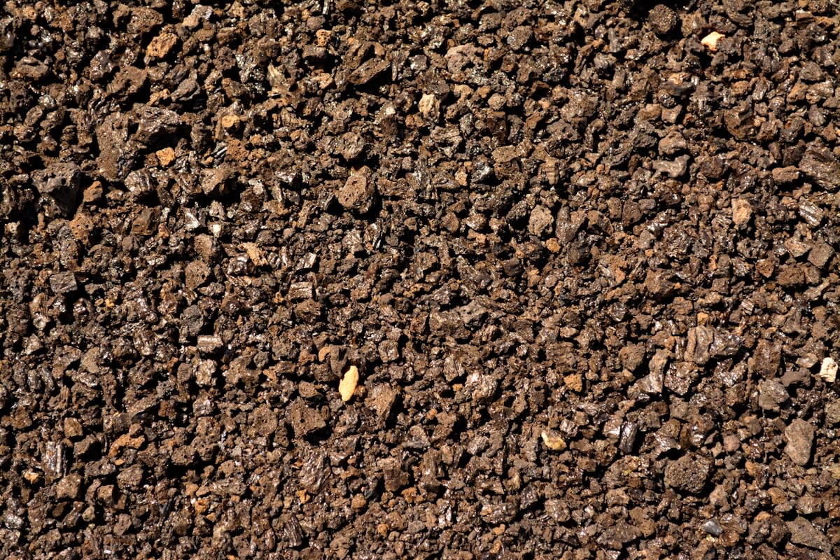 Crushed basalt rock soil enhancement forest