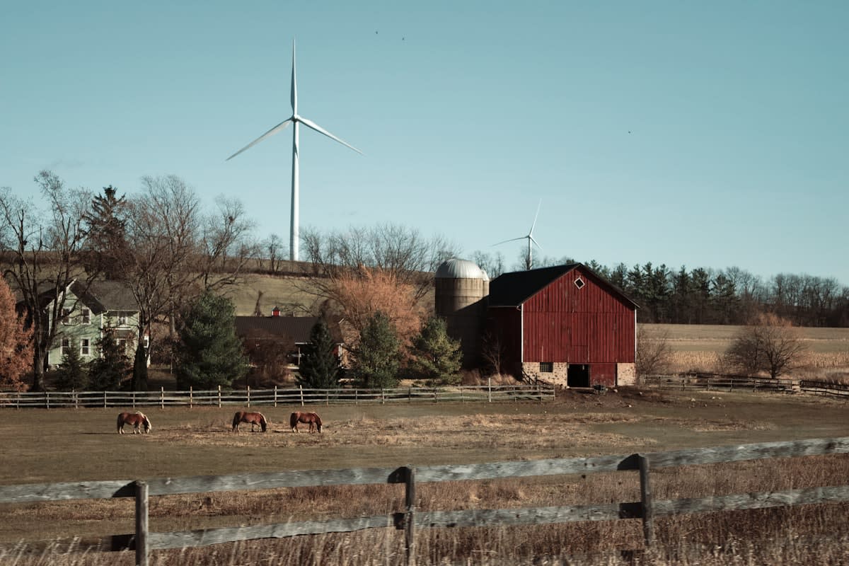 Smart sensors on cattle in a modern farm