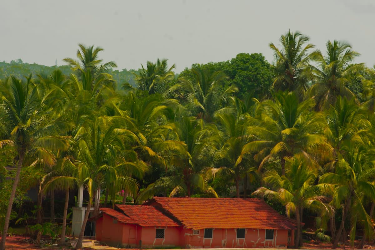 Modern hotel architecture in a rural Indian landscape
