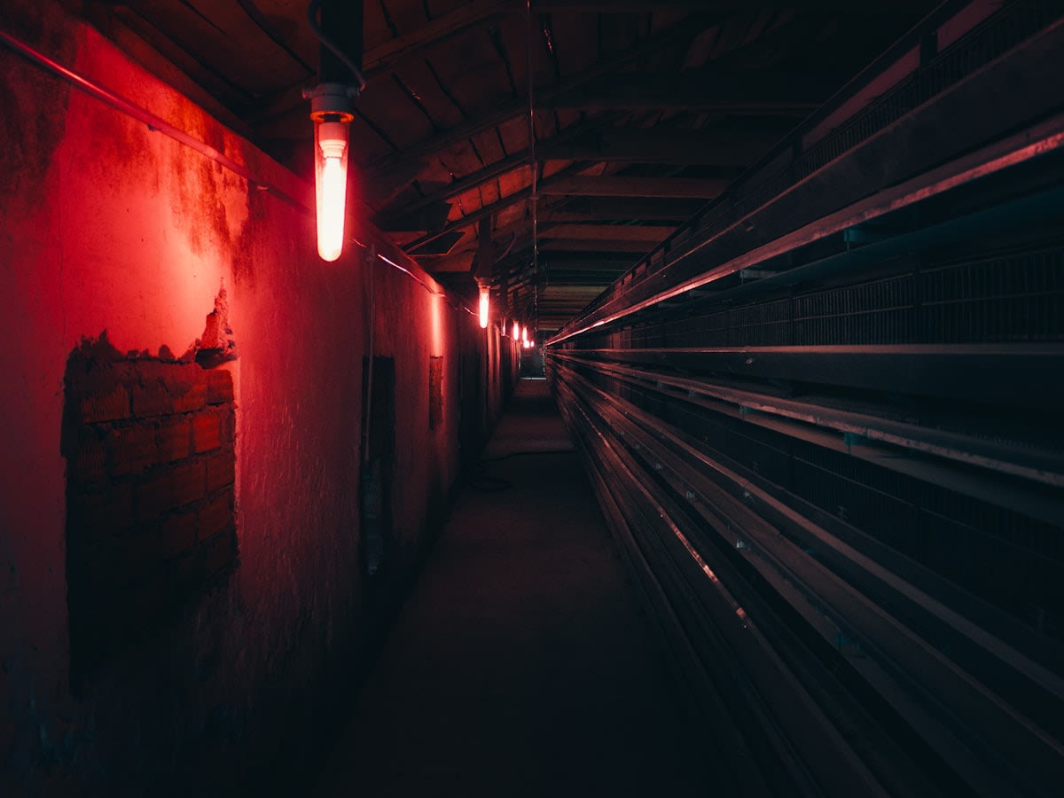 server rack with glowing red lights