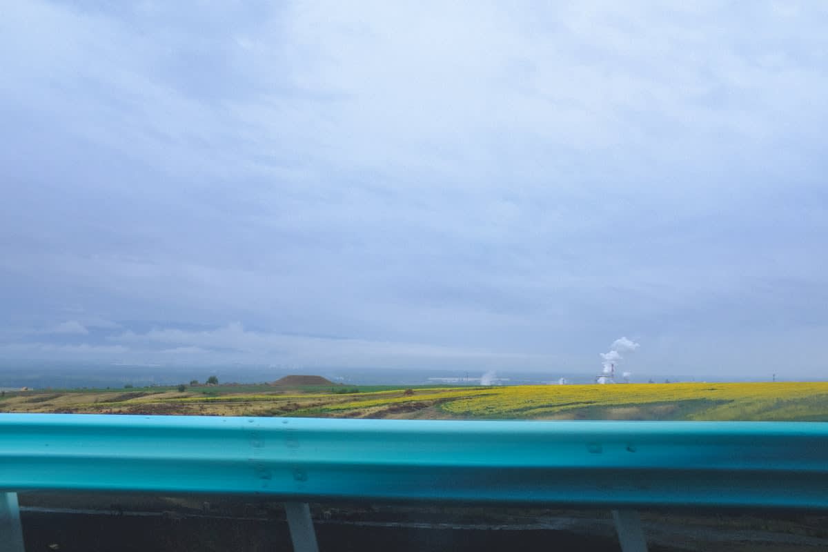 Industrial agriculture landscape
