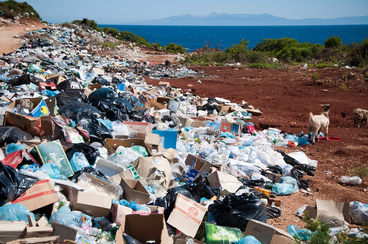 Sustainable tourism and plastic pollution