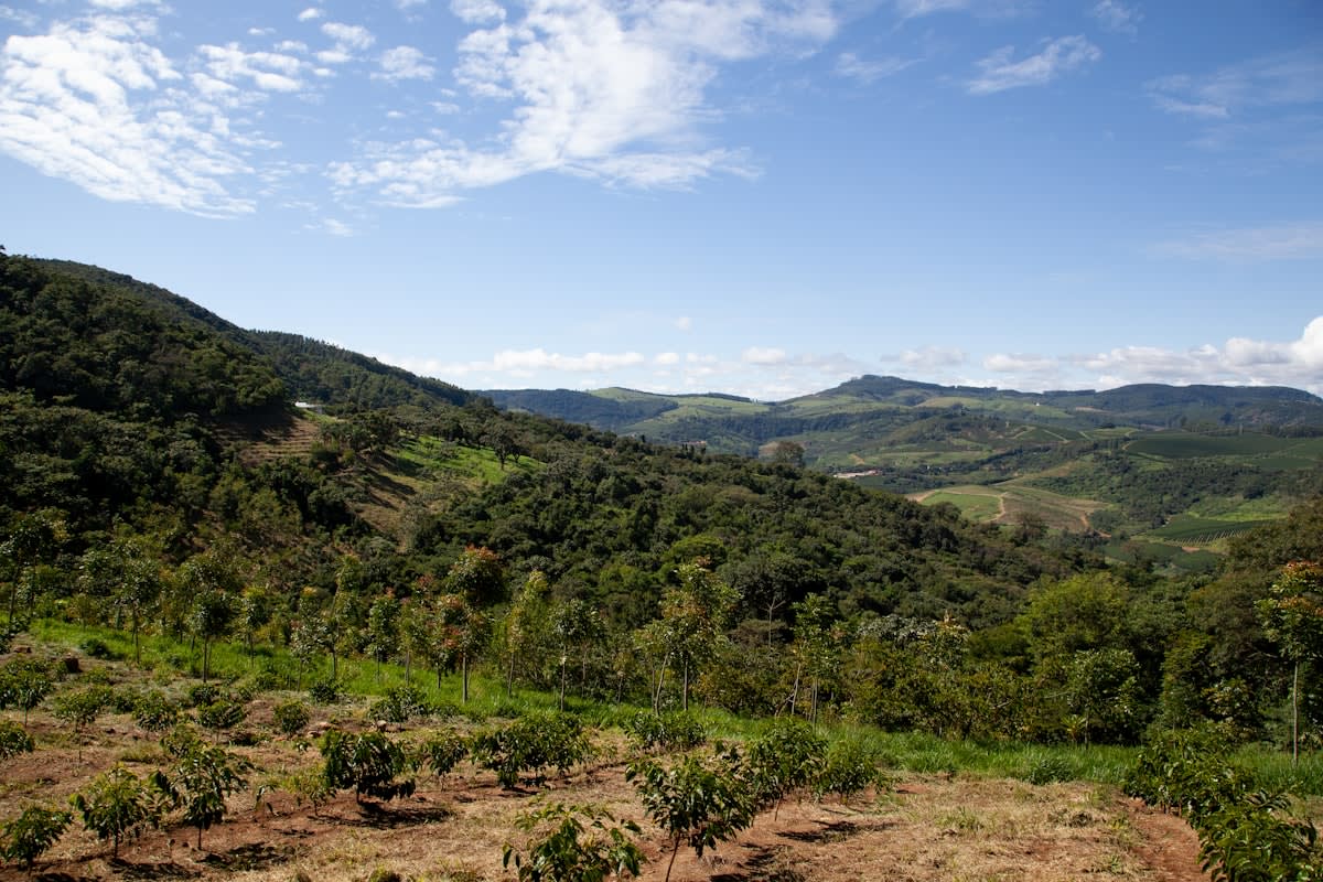Industrial agriculture in Brazil