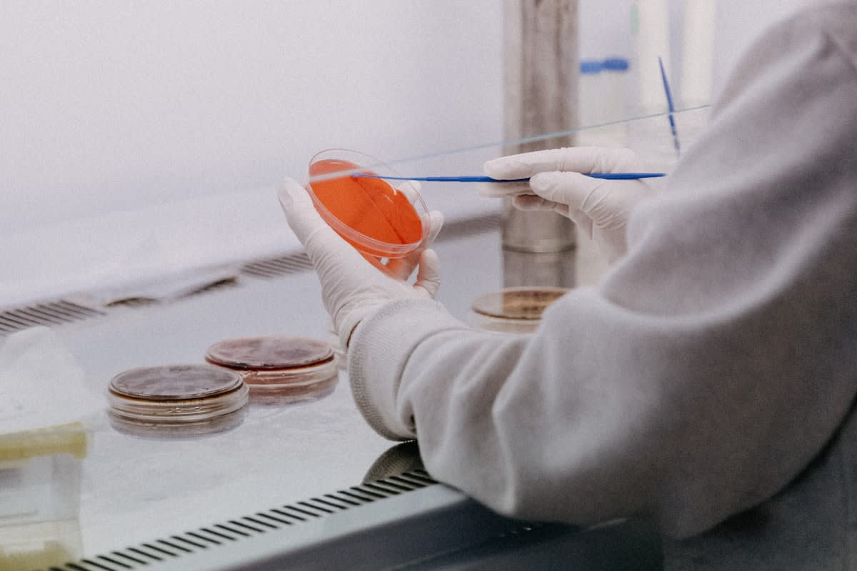 plasma treated seeds in a lab