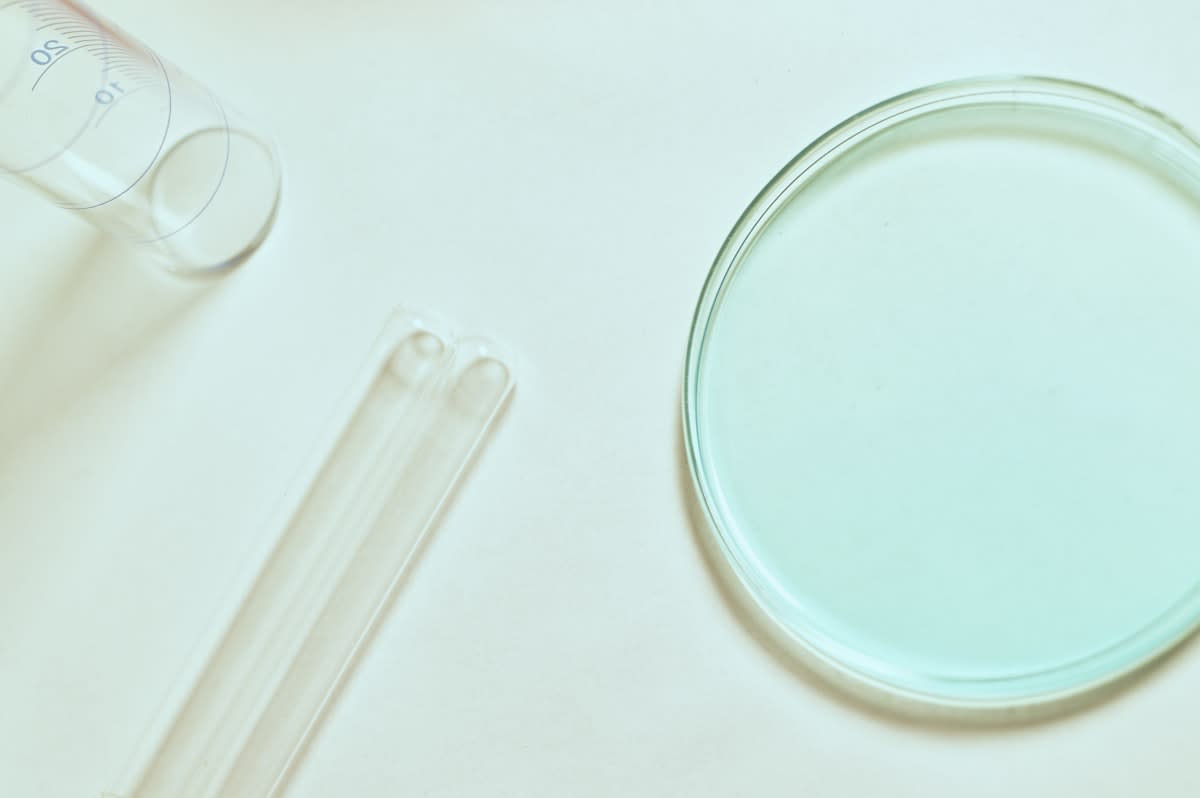 Laboratory research with petri dishes
