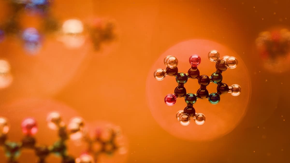 Microscopic view of polymer structures