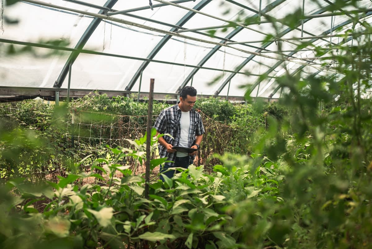 AI precision sprayer in an urban garden