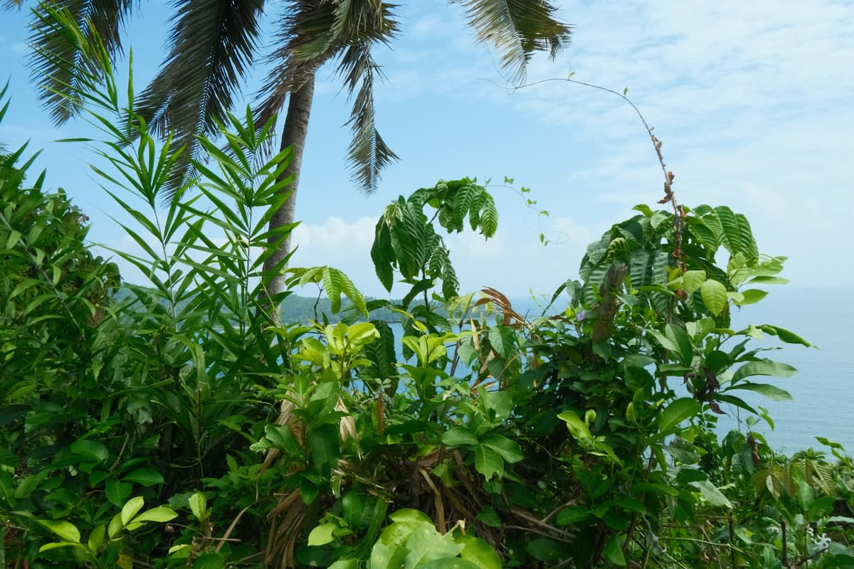 industrial waterproof server enclosure in tropical environment
