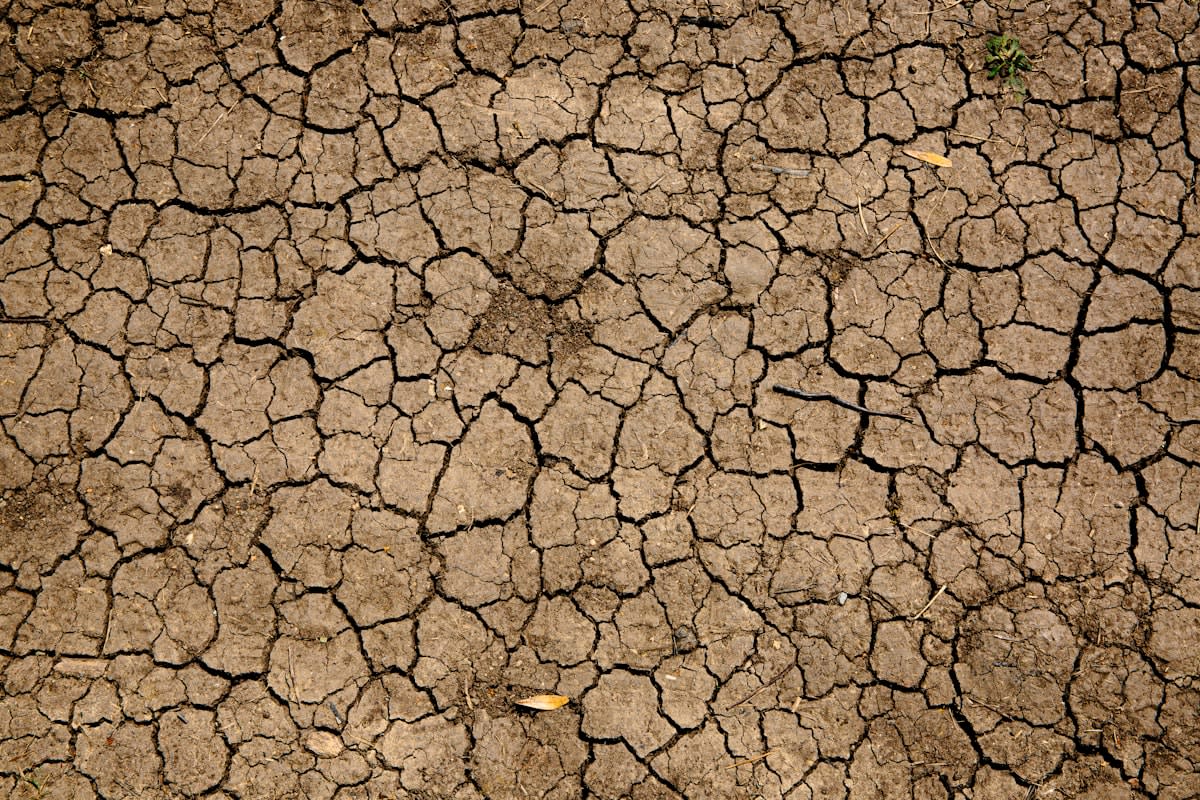 dry cracked earth
