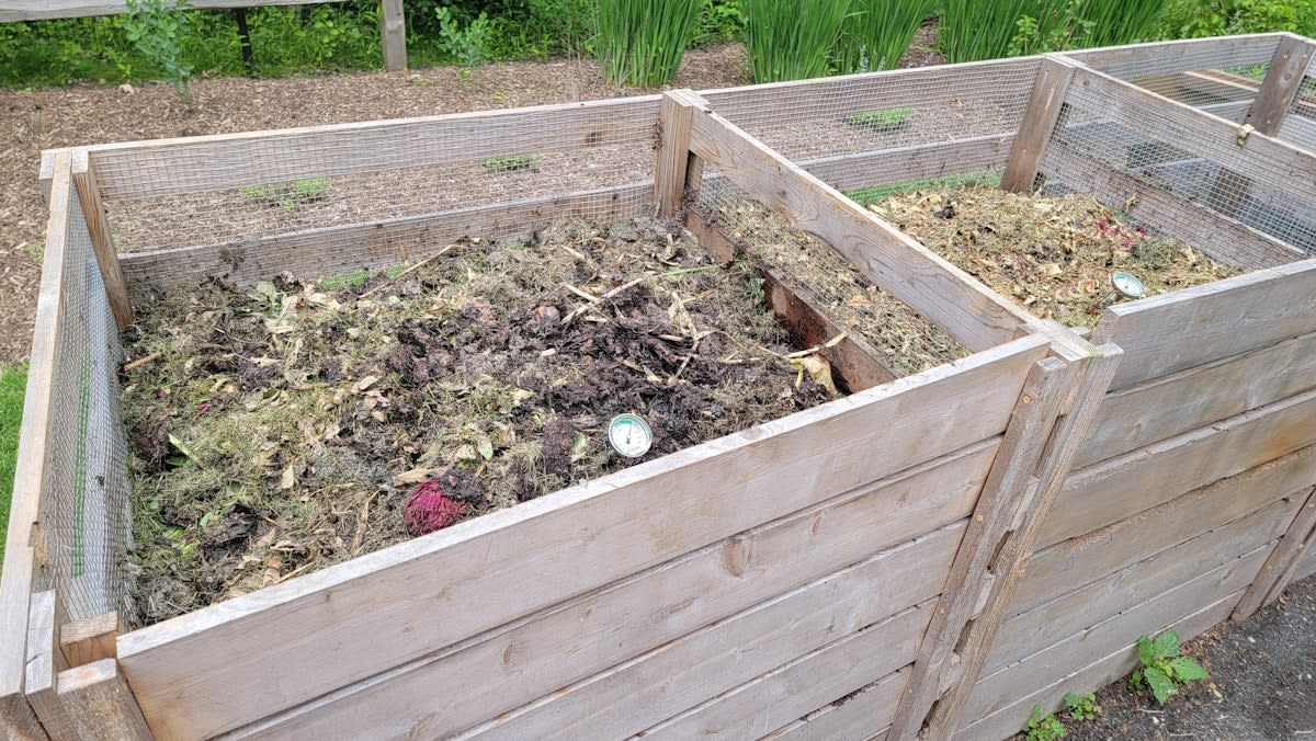 Home composting bin with organic soil