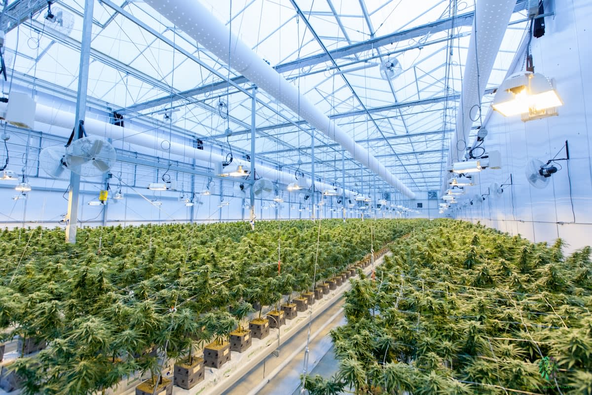 High tech agriculture facility with futuristic lighting