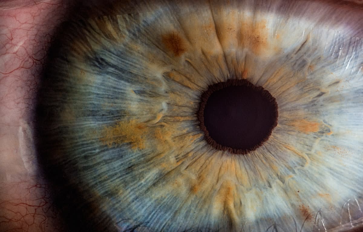 close up of a human eye reflecting a screen