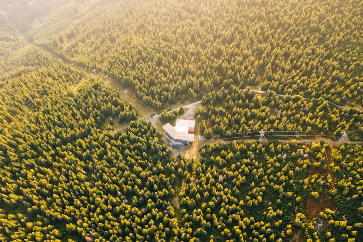 Modern glamping site in a European forest