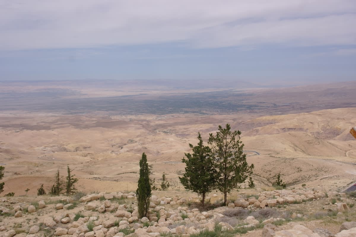 arid landscape in Jordan with drought-resistant crops