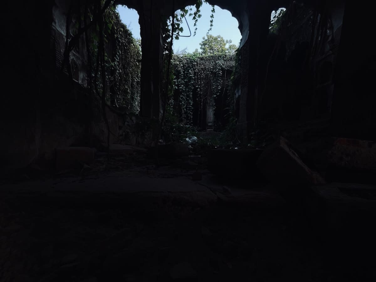 A high-tech server room overgrown with ancient vines and ruins